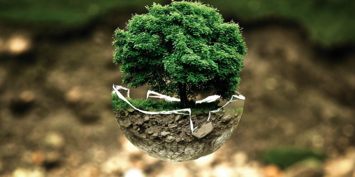 Learn More About Environmental Protection