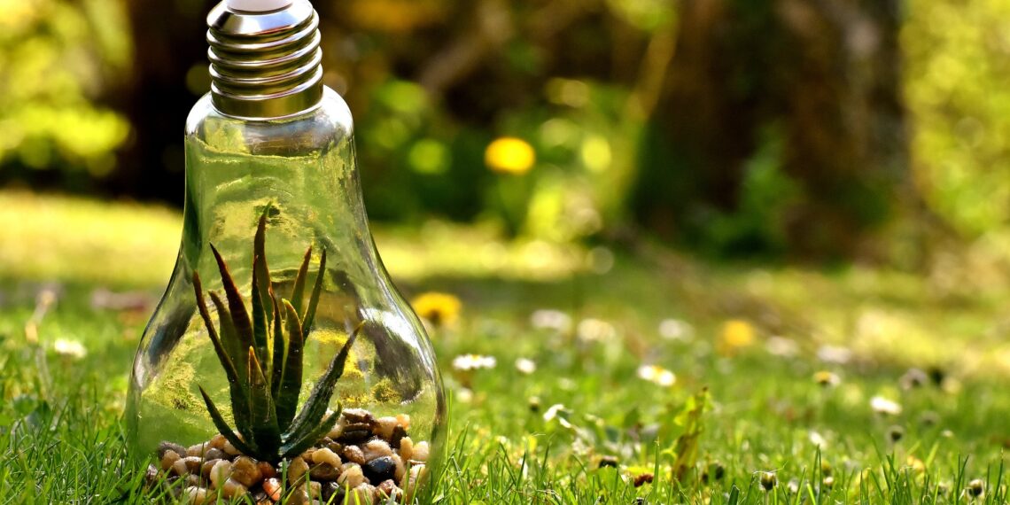 The Effects of Carbon Dioxide on the Human Brain