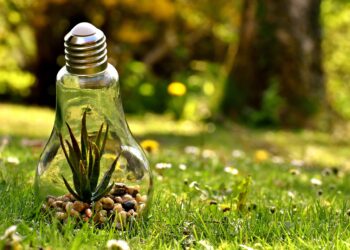 The Effects of Carbon Dioxide on the Human Brain