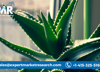 Aloe Vera Market