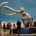 The 5 Best Museums In California