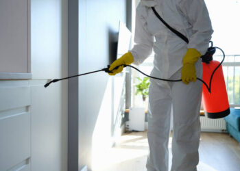 Get Rid of Mold for Good with These Tips from Mold Removal Oakland CA