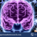 Central Nervous System (CNS) Stimulant Drugs Market
