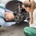 Here’s How You Decide Whether It Is A Complete Clutch Replacement Or Not?