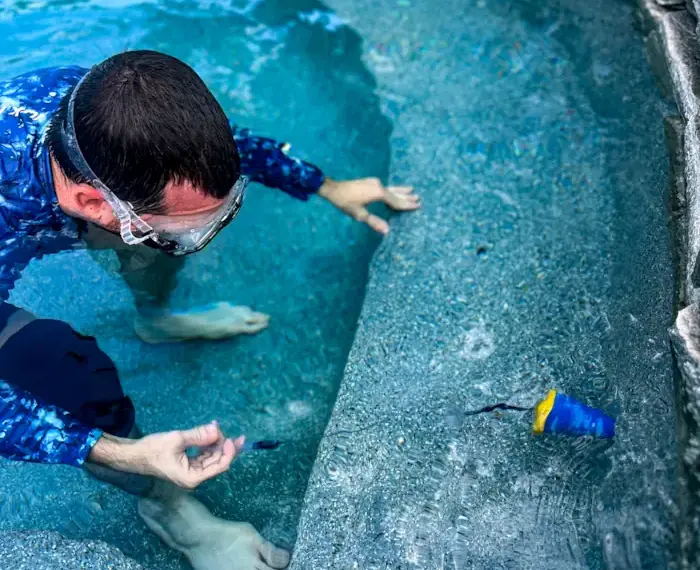 Save Water and Money: A Step-by-Step Approach to Pool Leak Detection