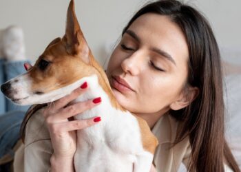 Understanding Bestiality: Legal, Ethical, and Psychological Implications